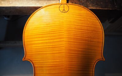 Cello van Kate Moore